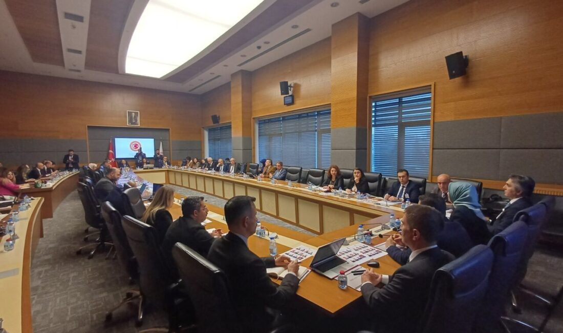 Aliekber METE/ ANKARA, – TÜRKİYE Büyük Millet Meclisi (TBMM) Engellilerin