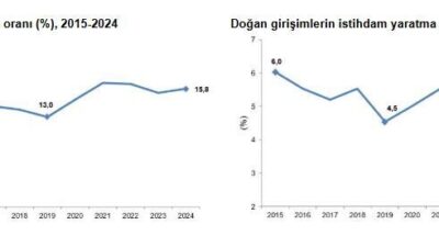 ANKARA, – TÜRKİYE İstatistik Kurumu (TÜİK) tarafından yayımlanan 2024 yılına