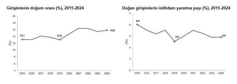 ANKARA, – TÜRKİYE İstatistik Kurumu (TÜİK) tarafından yayımlanan 2024 yılına