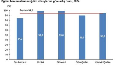 Ayşenur DEMİRTAŞ GÜL/ANKARA, – TÜRKİYE İstatistik Kurumu (TÜİK), 2024’te eğitim