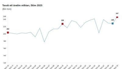ANKARA, – TÜRKİYE İstatistik Kurumu (TÜİK), ekim ayında aylık tavuk