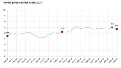 Ayşenur DEMİRTAŞ GÜL/ANKARA, -TÜRKİYE İstatistik Kurumu (TÜİK), tüketici güven endeksinin