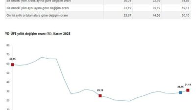 ANKARA, – TÜRKİYE İstatistik Kurumu (TÜİK), yurt dışı üretici fiyatlarının