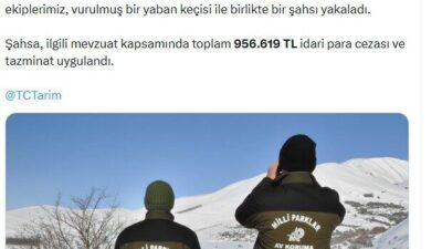 ANKARA, – HAKKARİ’de koruma altındaki yaban keçisini avlayan avcıya 956