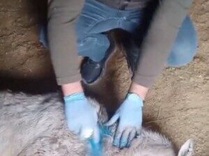 ANKARA, – DOĞA Koruma ve Milli Parklar (DKMP) Genel Müdürü