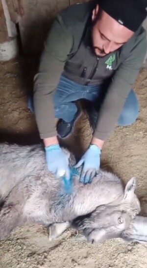 ANKARA, – DOĞA Koruma ve Milli Parklar (DKMP) Genel Müdürü