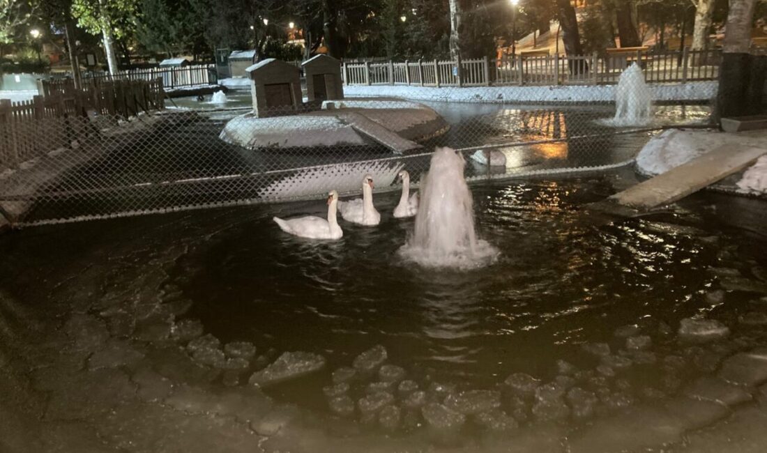 Kadircan GÜLER/ANKARA, – ANKARA’da etkili olan kar yağışının ardından hava