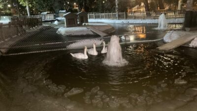 Kadircan GÜLER/ANKARA, – ANKARA’da etkili olan kar yağışının ardından hava