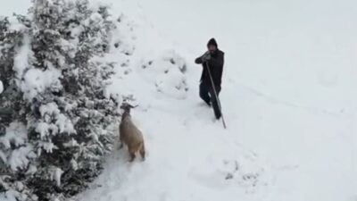 Hasan OLUM/NALLIHAN (Ankara), – ANKARA’nın Nallıhan ilçesinde kar manzarası çekmek