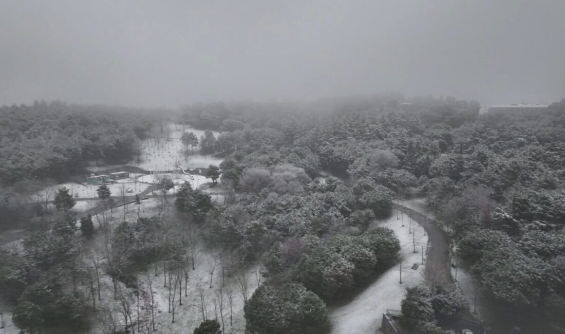 Murat SOLAK – Mert ORDU/İSTANBUL, – İSTANBUL’da gece saatlerinde başlayan