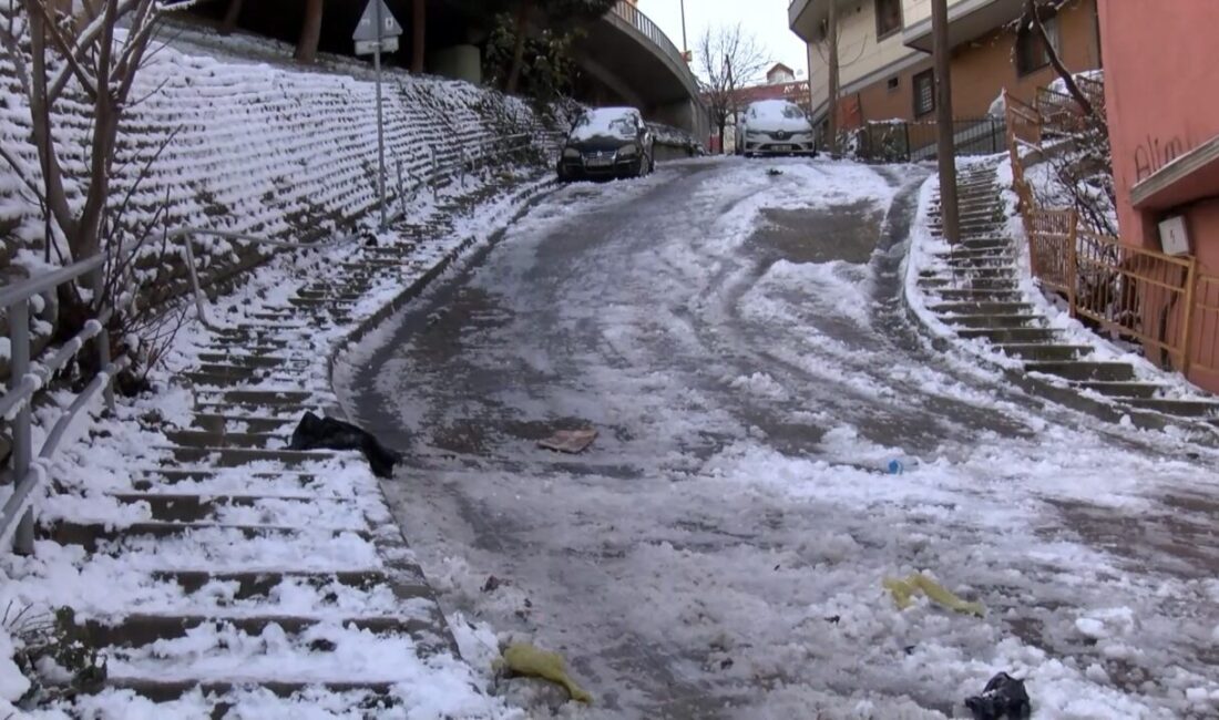 Hasan YILDIRIM / İSTANBUL, – İSTANBUL’un bazı ilçelerinde etkili olan