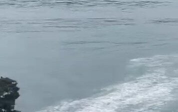 Doğan Can CESUR / İSTANBUL, -Kuruçeşme açıklarında deniz temizliği sırasında