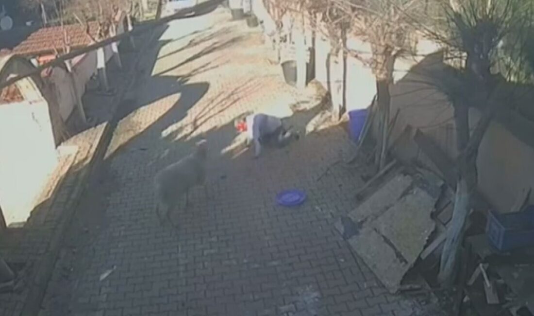 Derya EVREN KORKMAZ/İSTANBUL, – SİLİVRİ’de sitede bulunan koç sahibine dakikalarca