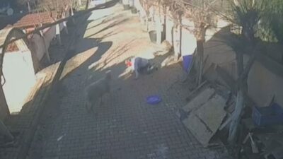 Derya EVREN KORKMAZ/İSTANBUL, – SİLİVRİ’de sitede bulunan koç sahibine dakikalarca
