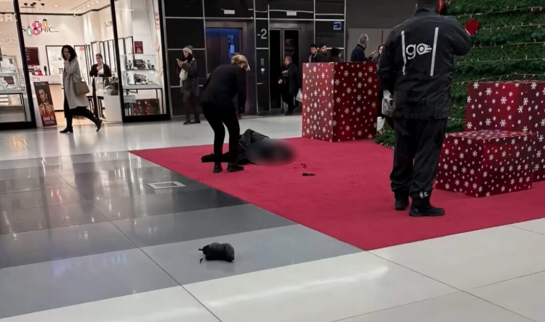 Doğan Can CESUR / İSTANBUL – ŞİŞLİ’de bir AVM’ye gelen