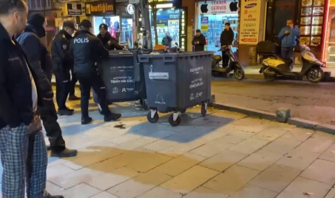 Mehmet Kaan KURT-Doğan Can CESUR/İSTANBUL, – ŞİŞLİ’de, çöp konteyneri içerisinde