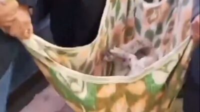 ANKARA, – ANKARA’da Demetevler Metro İstasyonu’nda 15 yaşındaki ‘Matmazel’ adlı