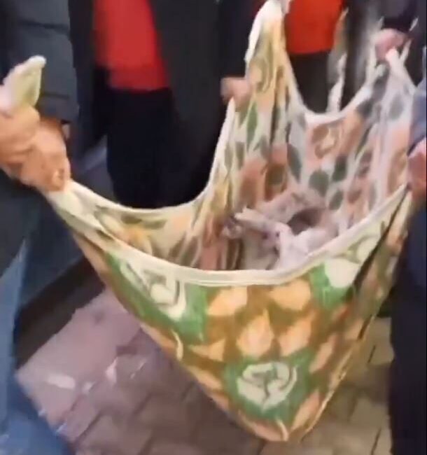 ANKARA, – ANKARA’da Demetevler Metro İstasyonu’nda 15 yaşındaki ‘Matmazel’ adlı