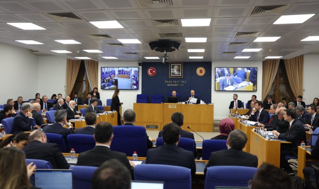 Aliekber METE/ ANKARA, – TBMM Plan ve Bütçe Komisyonu, ‘Türkiye
