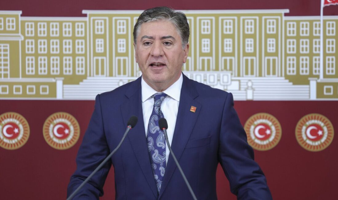 Aliekber METE/ANKARA, – CHP Grup Başkan Vekili Murat Emir, terör