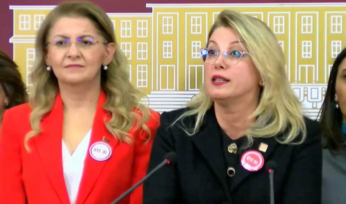 Aliekber METE/ANKARA, – CHP Kadın Kolları Genel Başkanı ve Osmaniye