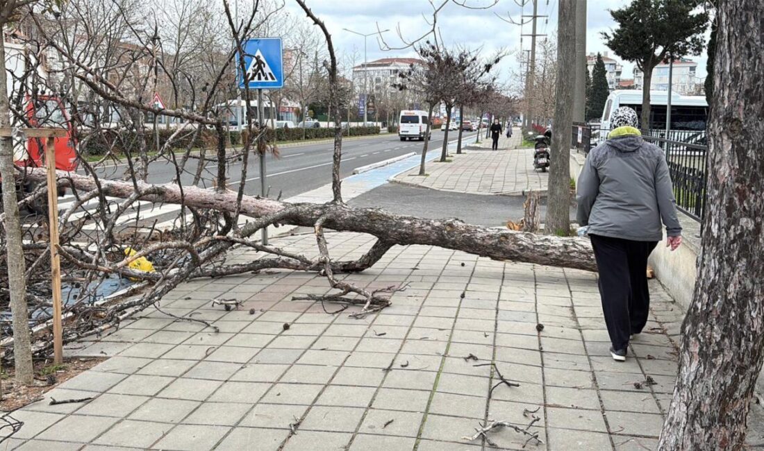 Ünsal YÜCEL/EDİRNE, – METEOROLOJİ Genel Müdürlüğü’nden (MGM) yapılan açıklamada, yarın