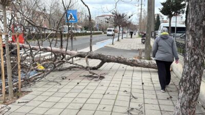 Ünsal YÜCEL/EDİRNE, – METEOROLOJİ Genel Müdürlüğü’nden (MGM) yapılan açıklamada, yarın