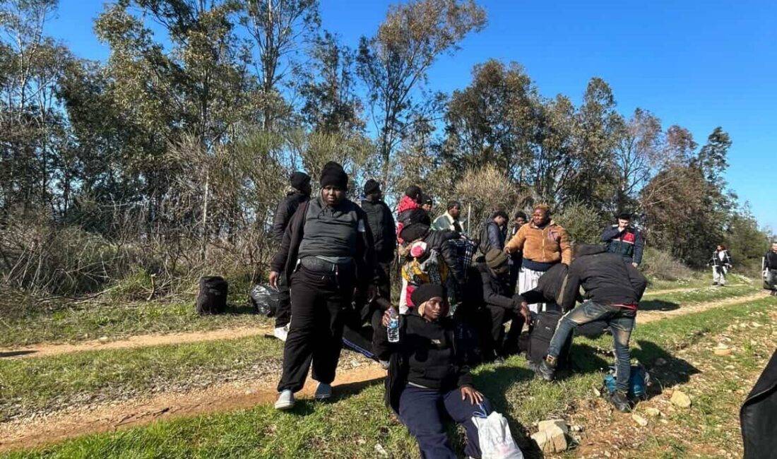 Melek FIRAT/AYDIN, – AYDIN’ın Germencik ilçesine bağlı kırsal Mursallı Mahallesi’nde