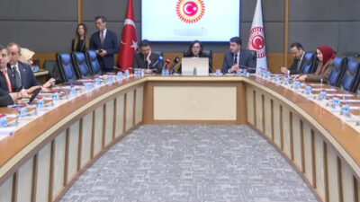 Aliekber METE/ ANKARA, – TÜRKİYE Büyük Millet Meclisi (TBMM) Suça