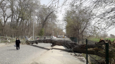 MARMARA İÇİN ‘FIRTINA’ UYARISI MGM İstanbul Tahmin ve Erken Uyarı