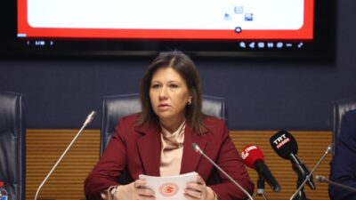 Aliekber METE/ ANKARA, – TÜRKİYE Büyük Millet Meclisi (TBMM) Yurtdışı