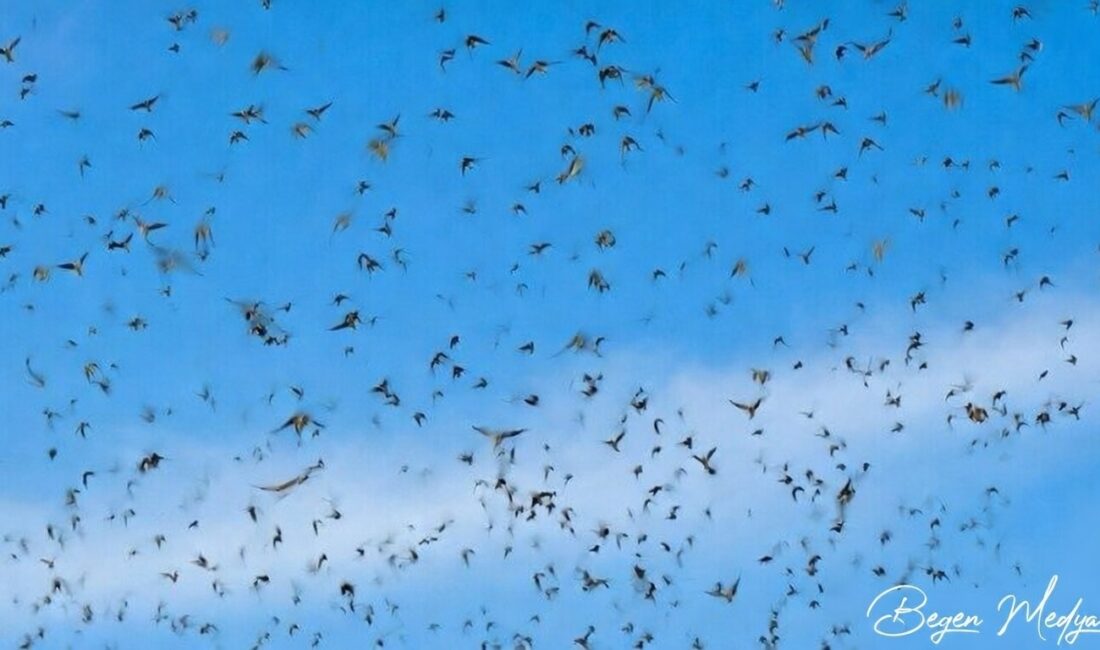 15 Mart tarihte bugün neler yaşandı… Hatırlamayanlar! Gelin Böyle…