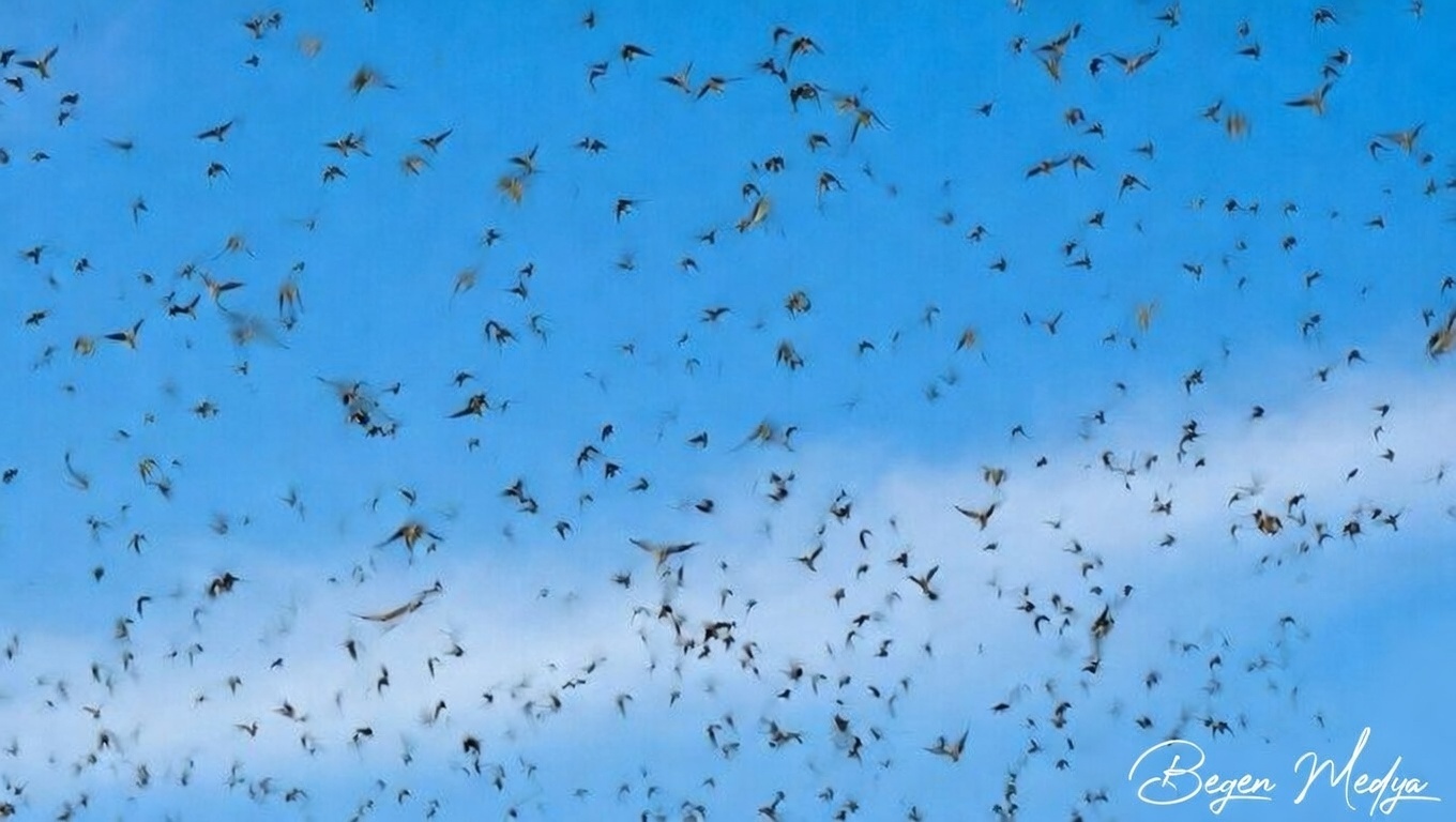 15 Mart tarihte bugün neler yaşandı… Hatırlamayanlar! Gelin Böyle…