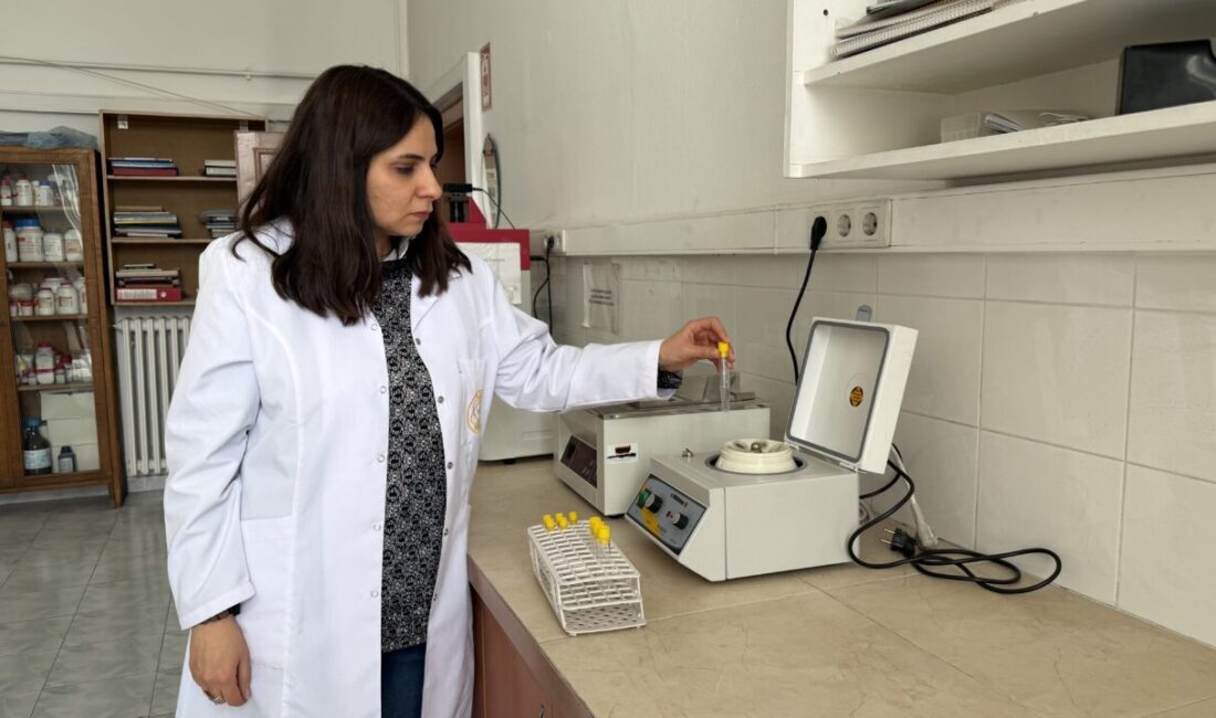 Mikail KARAMAN-Ayşenur DEMİRTAŞ GÜL/ANKARA, – ANKARA Üniversitesi Fen Fakültesi Biyoloji