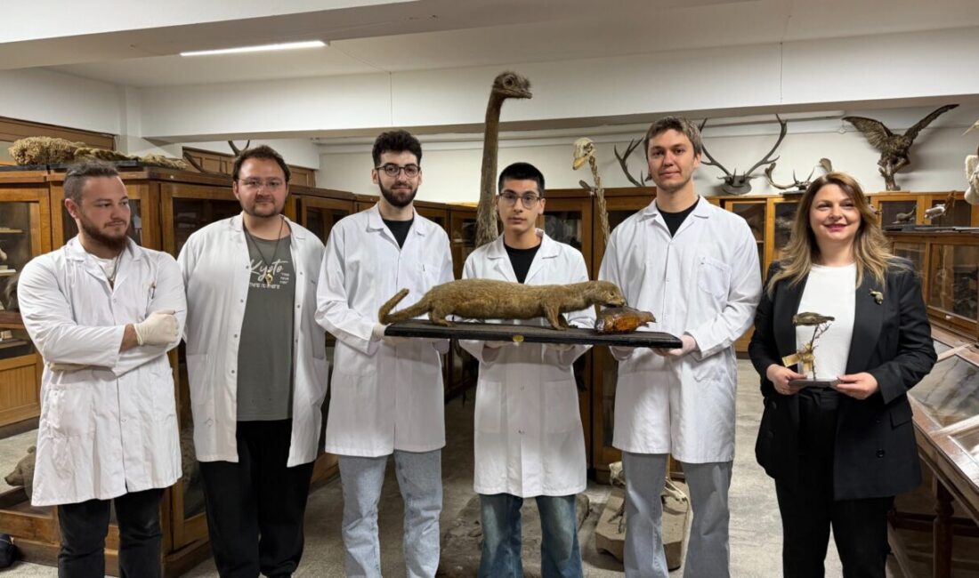 Mikail KARAMAN/ANKARA, – ANKARA Üniversitesi Fen Fakültesi Biyoloji Bölümü bünyesindeki