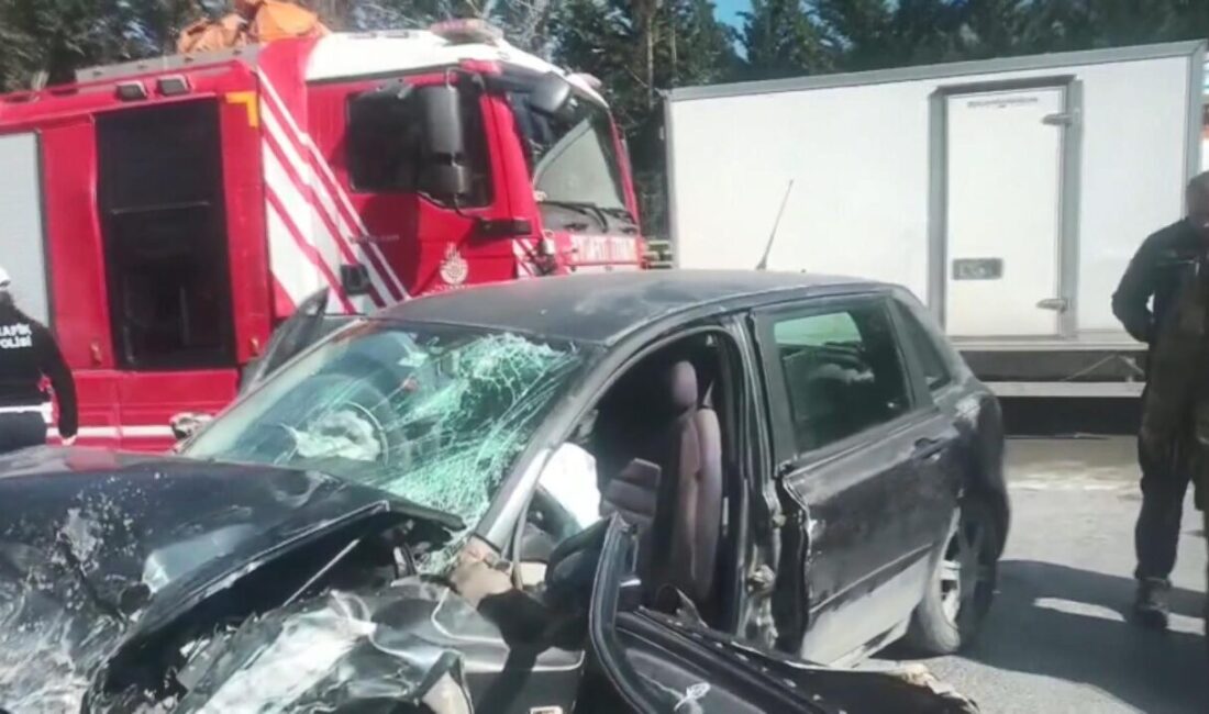 Taylan ERGÜN – Veysel TİMDU – Emre KURT / İSTANBUL,