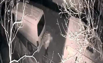 İhsan DÖRTKARDEŞ / İSTANBUL – AVCILAR’da park halindeki hafif ticari