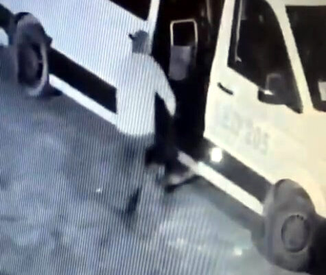 İhsan DÖRTKARDEŞ/İSTANBUL, – Avcılar’da mahallenin maskotu olan ‘Garip’ isimli köpek,