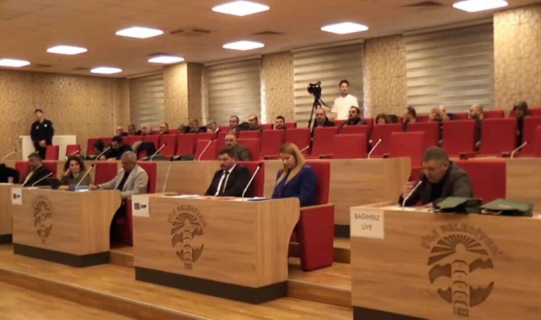 Nurcan KIRCALI / İSTANBUL, – ŞİLE Belediyesi Meclisi’nde hayvan barınağı