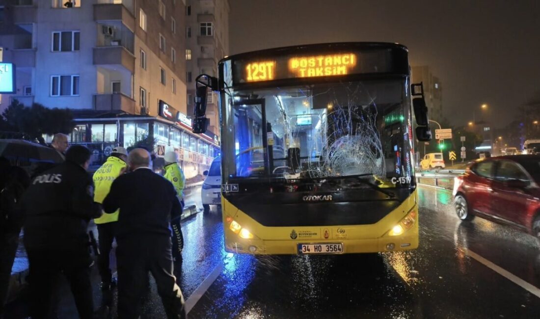 Mert ORDU/İSTANBUL, – ÜSKÜDAR’da caddede kırmızı ışıkta yolun karşısına geçmek