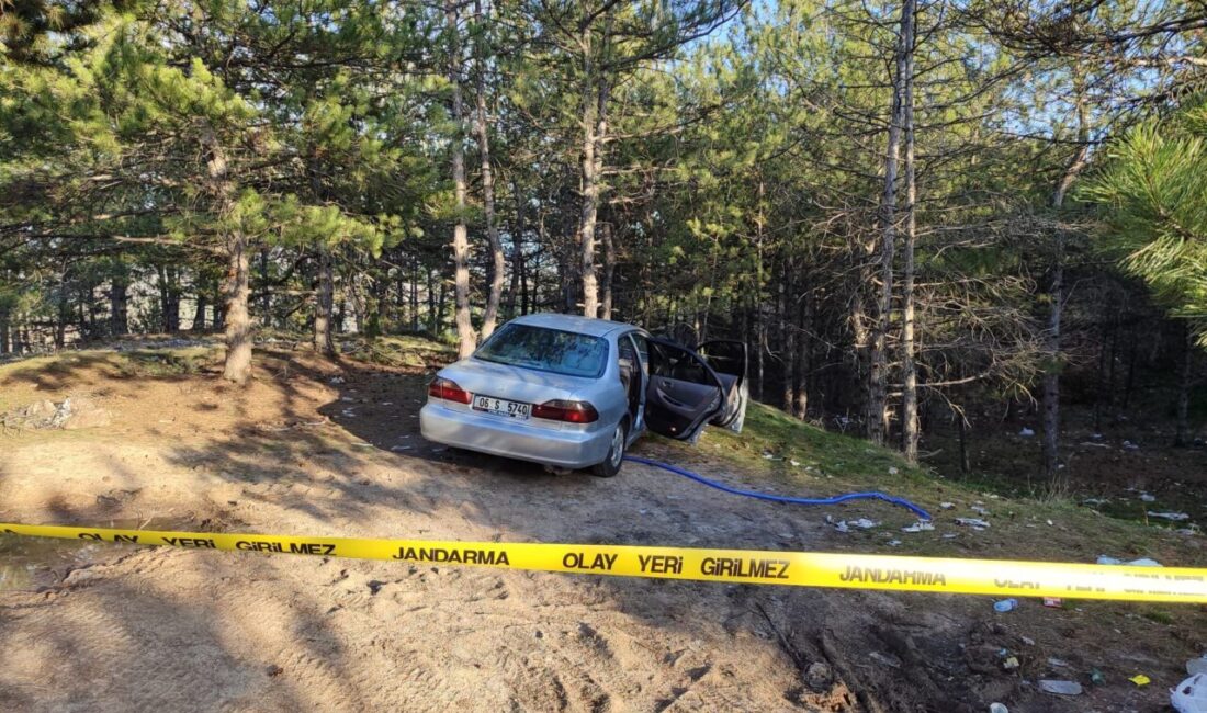 Mustafa ÖZDEMİR/KIZILCAHAMAM (Ankara), – ANKARA’nın Kızılcahamam ilçesinde İ.A. (55), park