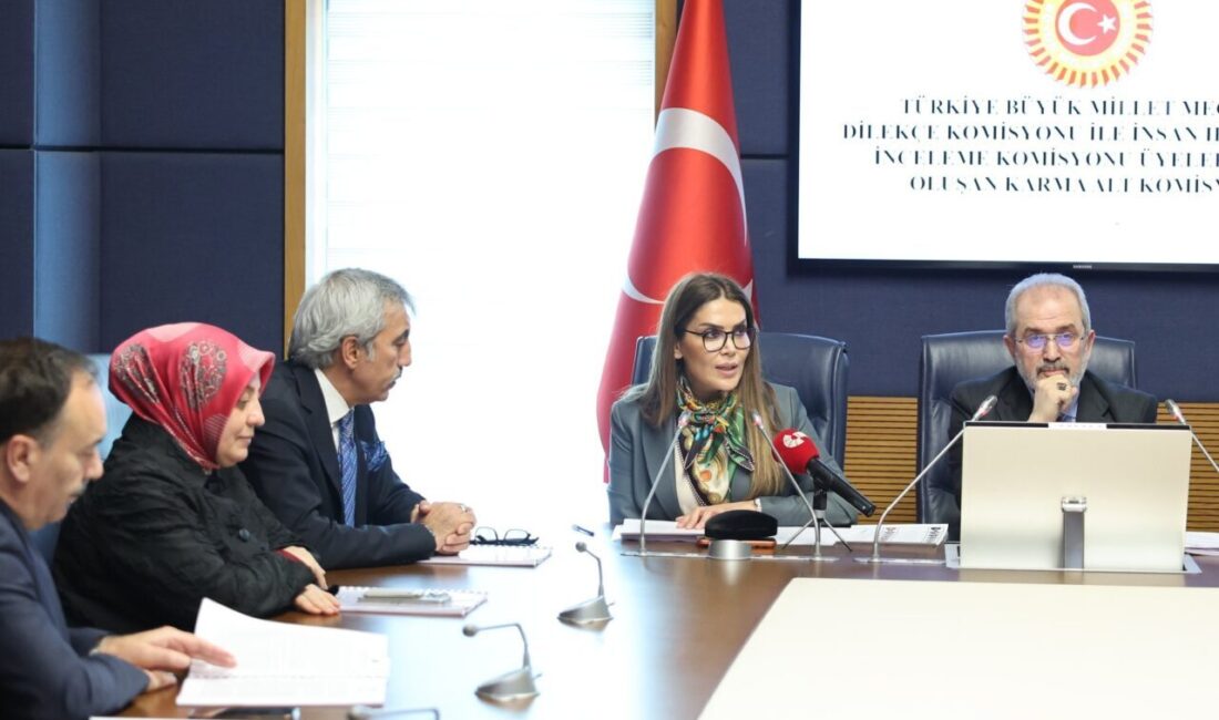 Aliekber METE/ ANKARA, -TBMM Dilekçe Komisyonu ile İnsan Hakları İnceleme