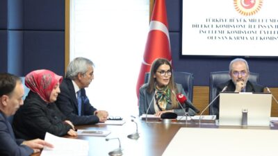 Aliekber METE/ ANKARA, -TBMM Dilekçe Komisyonu ile İnsan Hakları İnceleme