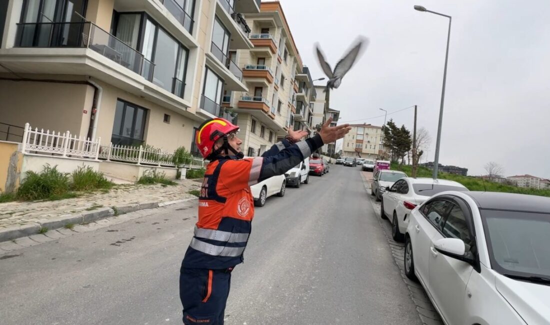 İhsan DÖRTKARDEŞ/İSTANBUL, – AVCILAR’da açık bırakılan havalandırma boşluğuna düşen güvercin