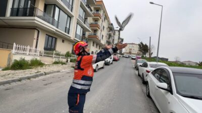 İhsan DÖRTKARDEŞ/İSTANBUL, – AVCILAR’da açık bırakılan havalandırma boşluğuna düşen güvercin