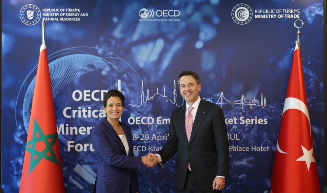 İSTANBUL, – ENERJİ ve Tabii Kaynaklar Bakanı Alparslan Bayraktar, ‘OECD
