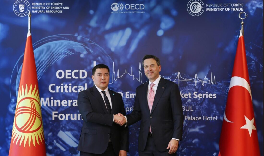 İSTANBUL, – ENERJİ ve Tabii Kaynaklar Bakanı Alparslan Bayraktar, ‘OECD