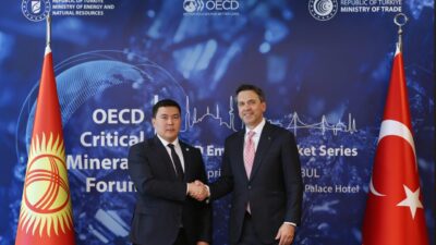 İSTANBUL, – ENERJİ ve Tabii Kaynaklar Bakanı Alparslan Bayraktar, ‘OECD