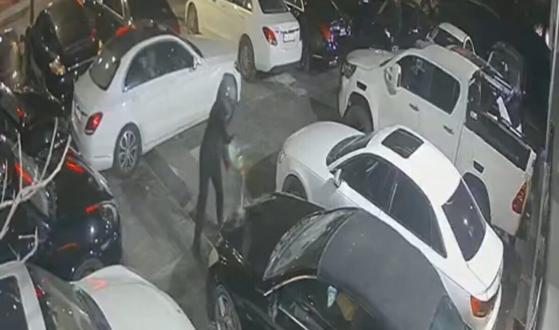 Doğan Can CESUR / İSTANBUL – BEŞİKTAŞ’ta işletmeci Selçuk K.