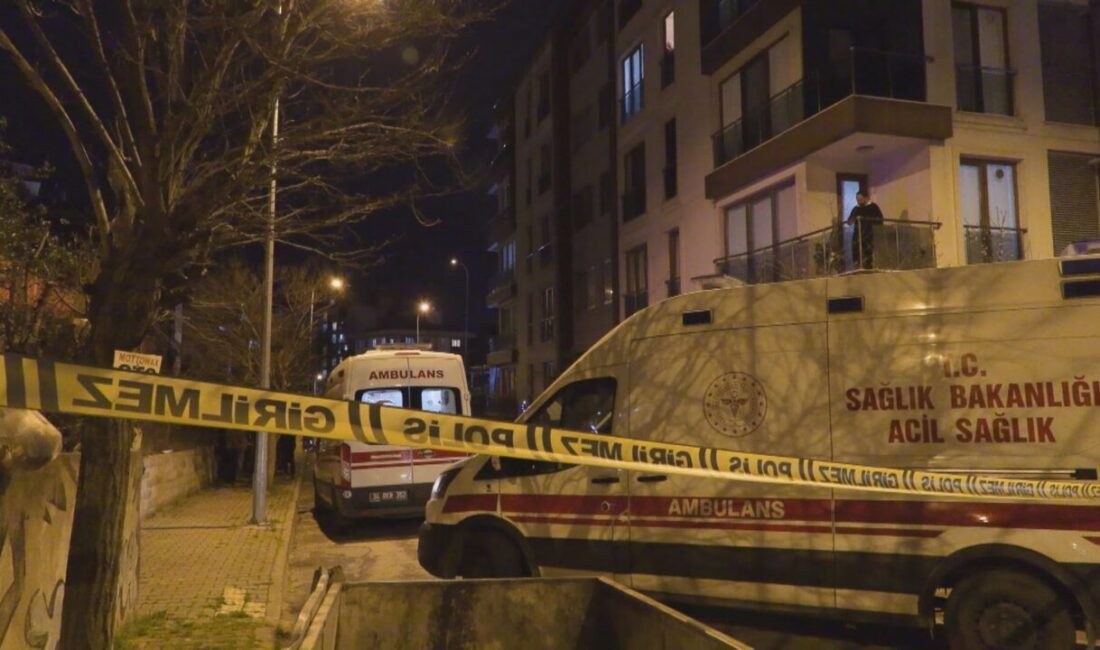 Esra GÜNTEPE – Şevval CİNDİR/İSTANBUL, – ÇEKMEKÖY’de bir evde annesini